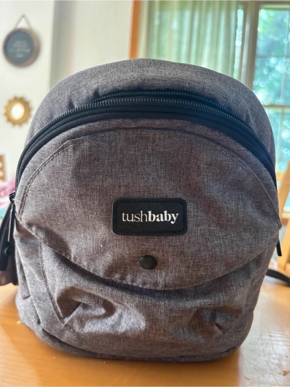 TushBaby Hip Carrier (Gray)